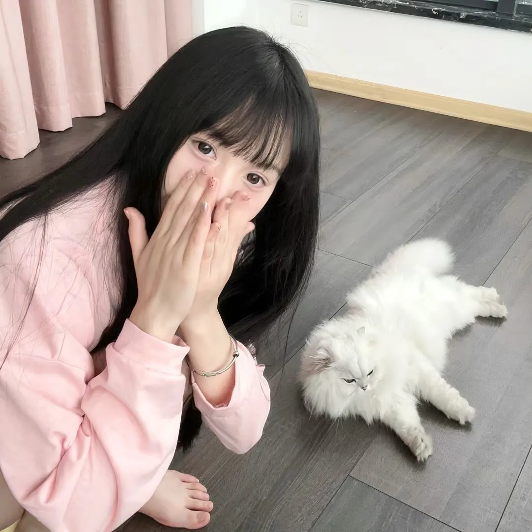 王国之路第二季